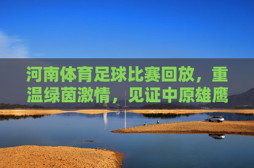 河南体育足球比赛回放,重温绿茵激情,见证中原雄鹰的每一次腾飞
