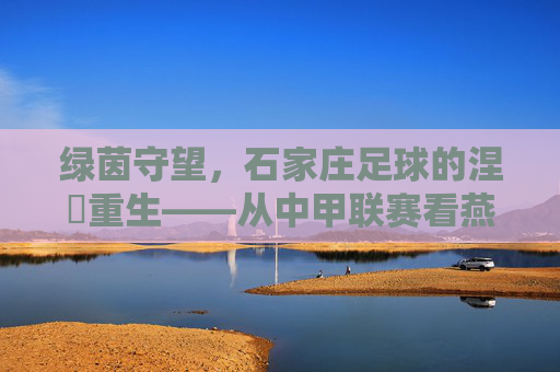 绿茵守望,石家庄足球的涅槃重生——从中甲联赛看燕赵雄风