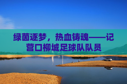 绿茵逐梦,热血铸魂——记营口柳城足球队队员