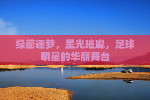 绿茵逐梦,星光璀璨,足球明星的华丽舞台