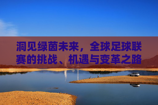 洞见绿茵未来,全球足球联赛的挑战、机遇与变革之路