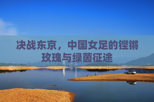 决战东京,中国女足的铿锵玫瑰与绿茵征途