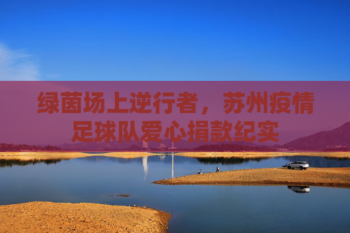 绿茵场上逆行者,苏州疫情足球队爱心捐款纪实