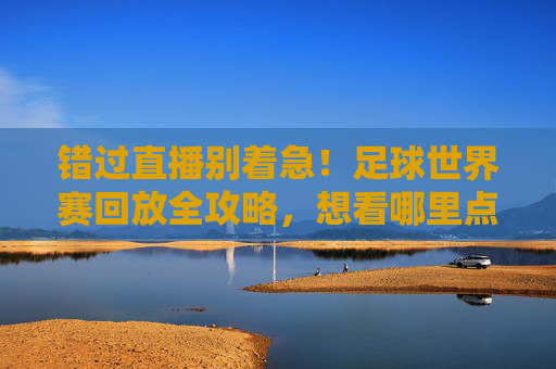 错过直播别着急!足球世界赛回放全攻略,想看哪里点哪里