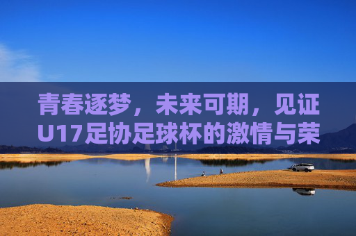 青春逐梦,未来可期,见证U17足协足球杯的激情与荣耀
