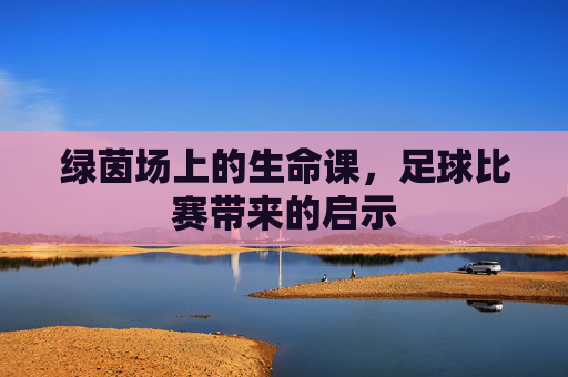 绿茵场上的生命课，足球比赛带来的启示