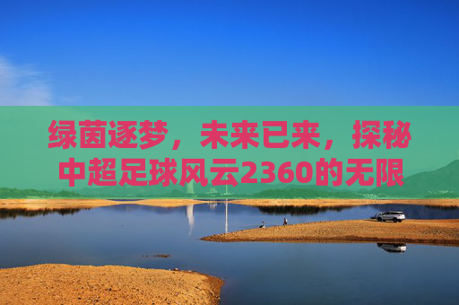 绿茵逐梦，未来已来，探秘中超足球风云2360的无限魅力