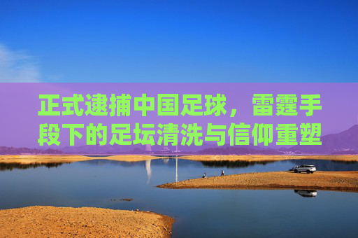 正式逮捕中国足球,雷霆手段下的足坛清洗与信仰重塑