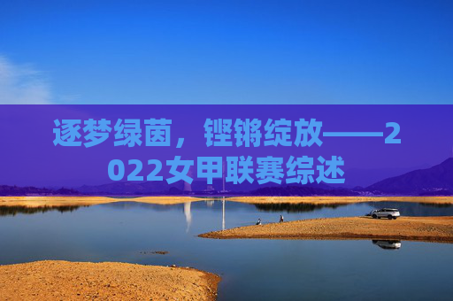 逐梦绿茵,铿锵绽放——2022女甲联赛综述