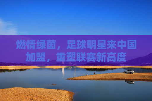 燃情绿茵,足球明星来中国加盟,重塑联赛新高度
