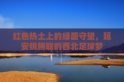 红色热土上的绿茵守望,延安锐腾联的西北足球梦