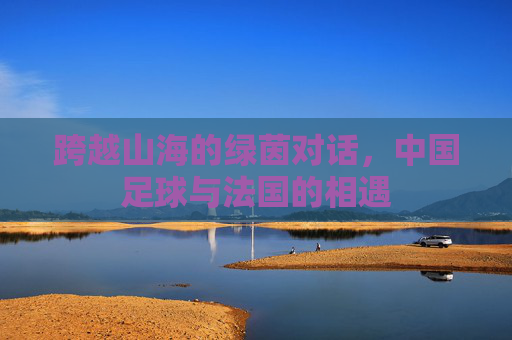 跨越山海的绿茵对话,中国足球与法国的相遇