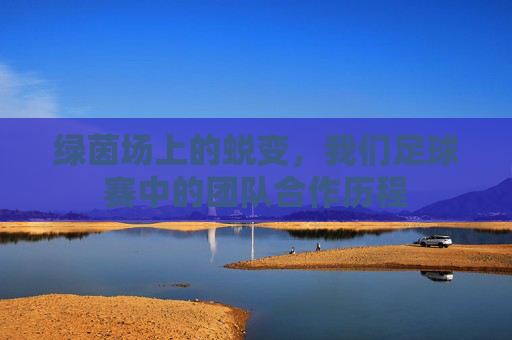 绿茵场上的蜕变，我们足球赛中的团队合作历程