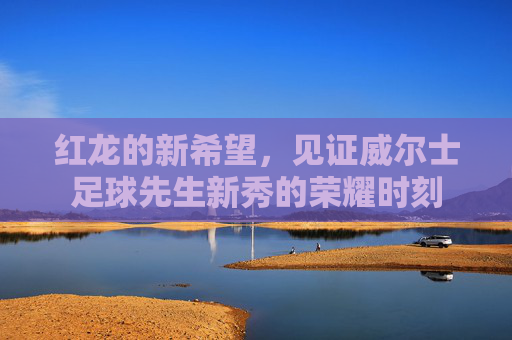 红龙的新希望，见证威尔士足球先生新秀的荣耀时刻