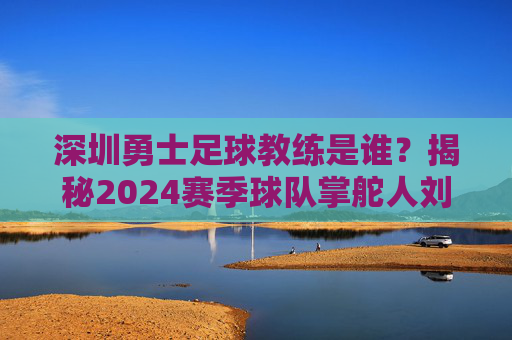 深圳勇士足球教练是谁?揭秘2024赛季球队掌舵人刘阳的执教蓝图