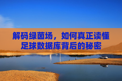解码绿茵场,如何真正读懂足球数据库背后的秘密