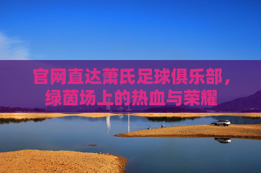 官网直达萧氏足球俱乐部,绿茵场上的热血与荣耀