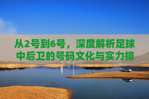 从2号到6号,深度解析足球中后卫的号码文化与实力排名