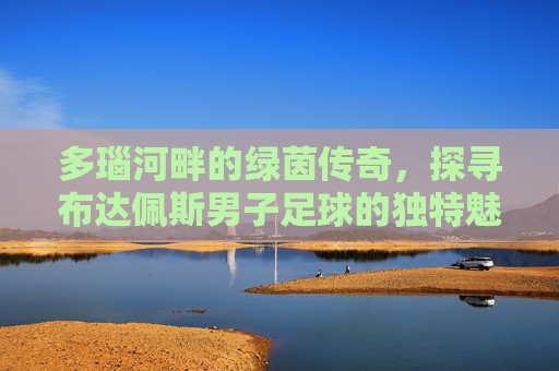多瑙河畔的绿茵传奇,探寻布达佩斯男子足球的独特魅力
