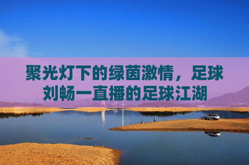 聚光灯下的绿茵激情，足球刘畅一直播的足球江湖