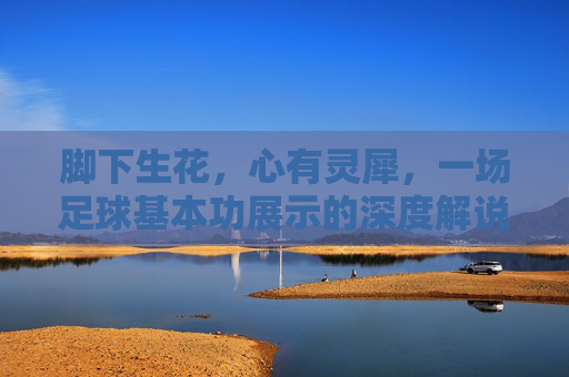 脚下生花,心有灵犀,一场足球基本功展示的深度解说