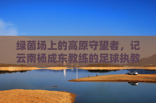 绿茵场上的高原守望者,记云南杨成东教练的足球执教生涯