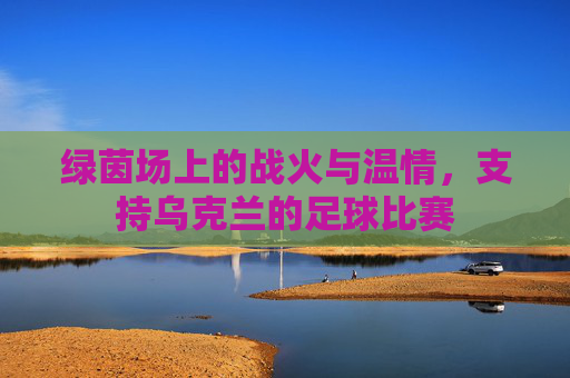 绿茵场上的战火与温情,支持乌克兰的足球比赛