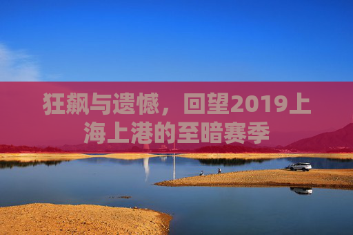 狂飙与遗憾,回望2019上海上港的至暗赛季