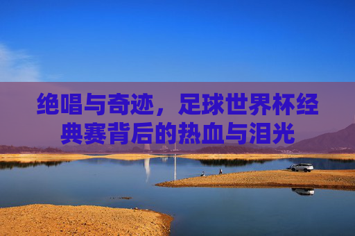 绝唱与奇迹,足球世界杯经典赛背后的热血与泪光