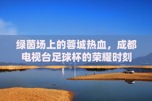 绿茵场上的蓉城热血,成都电视台足球杯的荣耀时刻