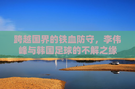跨越国界的铁血防守,李伟峰与韩国足球的不解之缘