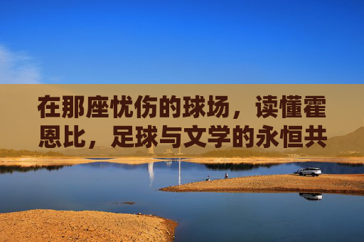 在那座忧伤的球场,读懂霍恩比,足球与文学的永恒共鸣