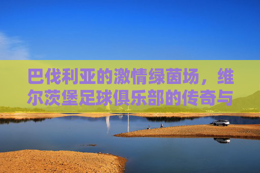巴伐利亚的激情绿茵场,维尔茨堡足球俱乐部的传奇与荣耀
