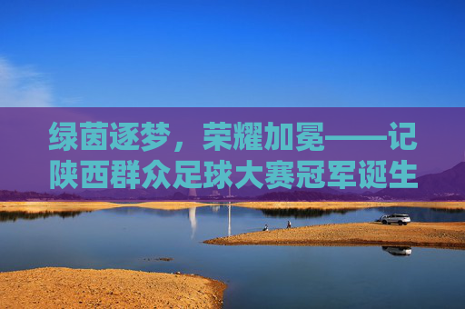绿茵逐梦,荣耀加冕——记陕西群众足球大赛冠军诞生时刻