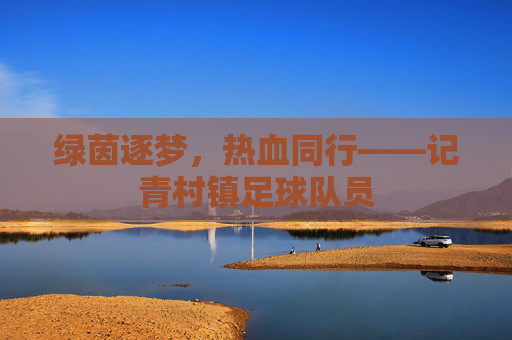 绿茵逐梦，热血同行——记青村镇足球队员