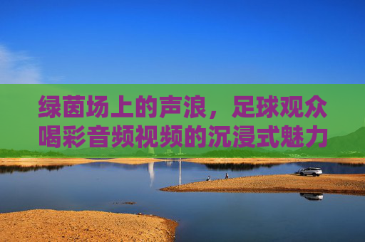 绿茵场上的声浪,足球观众喝彩音频视频的沉浸式魅力