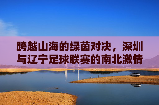跨越山海的绿茵对决，深圳与辽宁足球联赛的南北激情碰撞