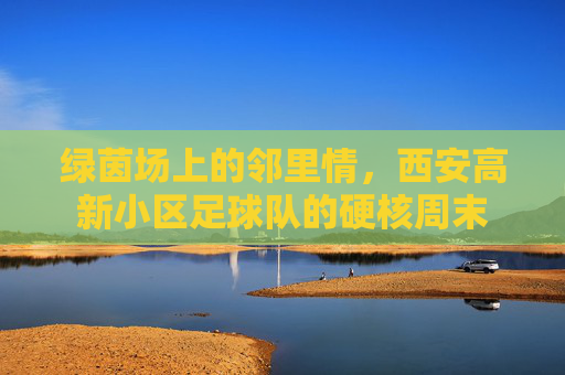 绿茵场上的邻里情,西安高新小区足球队的硬核周末