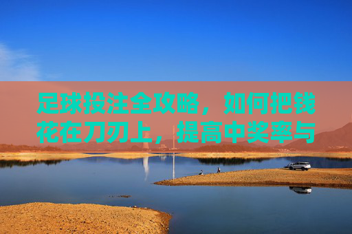 足球投注全攻略,如何把钱花在刀刃上,提高中奖率与性价比