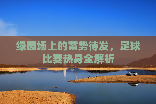 绿茵场上的蓄势待发，足球比赛热身全解析