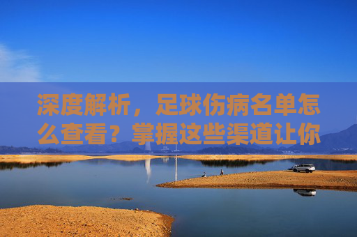 深度解析,足球伤病名单怎么查看?掌握这些渠道让你看球更懂门道