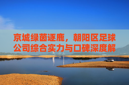 京城绿茵逐鹿，朝阳区足球公司综合实力与口碑深度解析