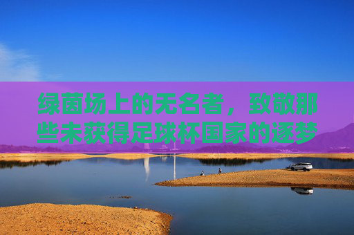 绿茵场上的无名者，致敬那些未获得足球杯国家的逐梦人