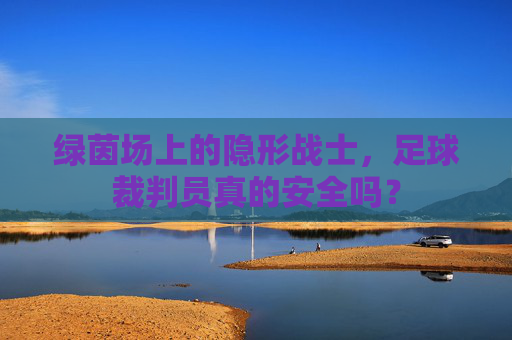 绿茵场上的隐形战士，足球裁判员真的安全吗？