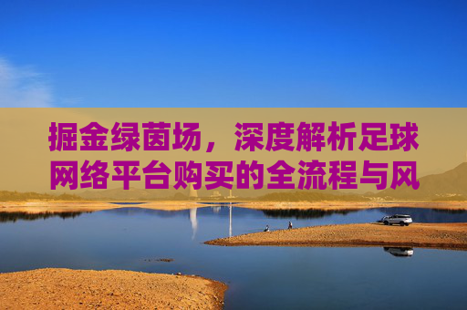掘金绿茵场，深度解析足球网络平台购买的全流程与风险控制