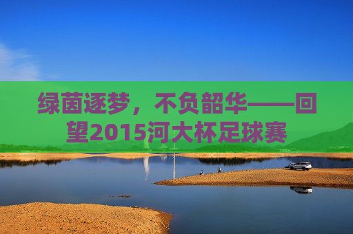 绿茵逐梦，不负韶华——回望2015河大杯足球赛