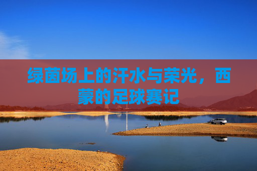 绿茵场上的汗水与荣光，西蒙的足球赛记