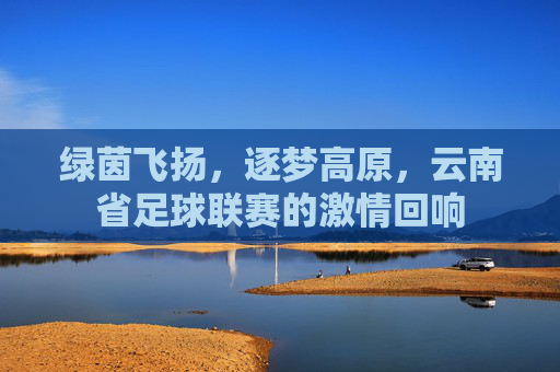 绿茵飞扬,逐梦高原,云南省足球联赛的激情回响