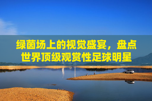 绿茵场上的视觉盛宴，盘点世界顶级观赏性足球明星