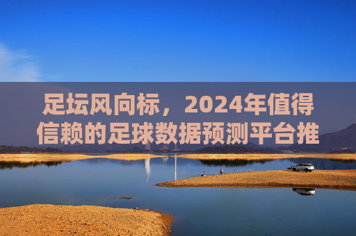 足坛风向标,2024年值得信赖的足球数据预测平台推荐与分析